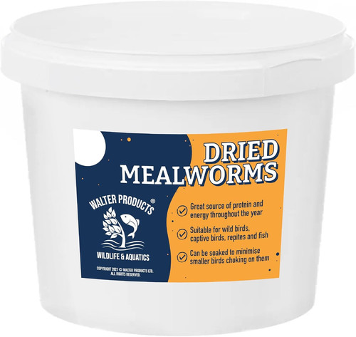 Walter meal worms - meal, tub)