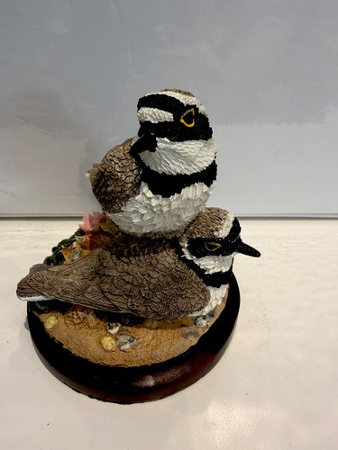 The little ringed plover - little,