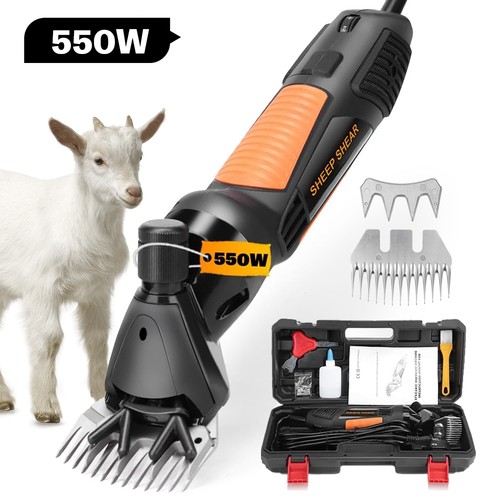 Sheep shearing 550w - sheep,