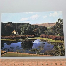 Vintage Postcard View of