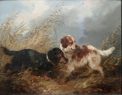 Antique armfield dogs - antique,