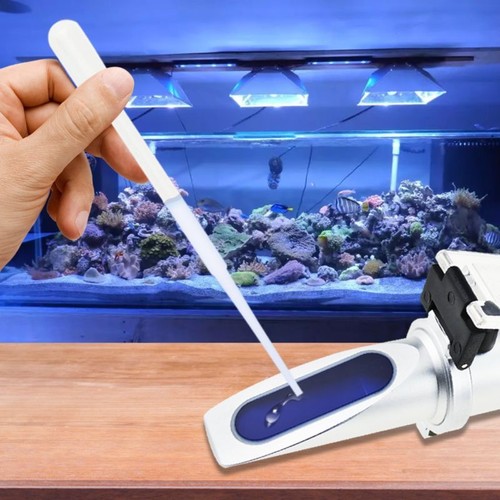 Aquarium salinity - aquarium,