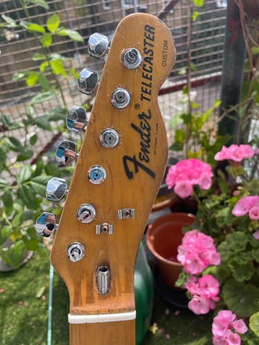Telecaster custom neck - custom, neck.