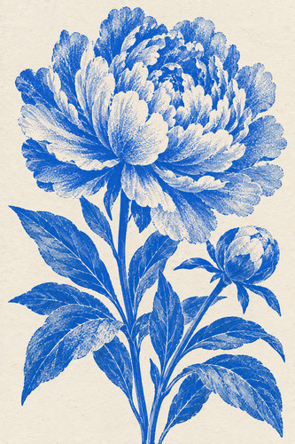 Peony risograph print - peony,