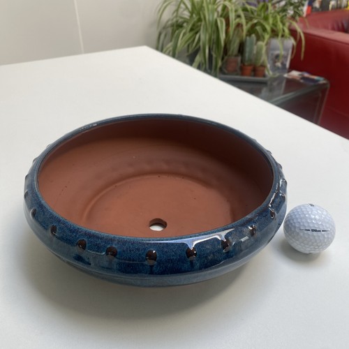 New round bonsai - round, 21cm