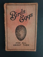 Birds' Eggs And all About Them