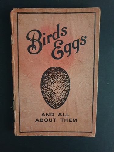 Birds eggs and all - birds',