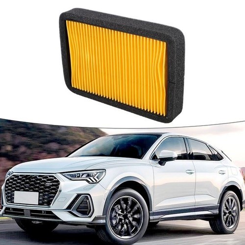 Air intake cleaner - air,