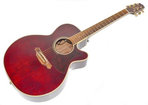 Takamine dmp551c acoustic - takamine, wr