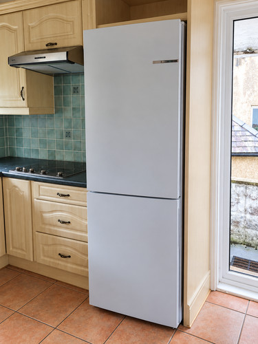 Bosch 255 frost free fridge - free,