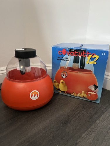 Novital covatutto egg - 12,