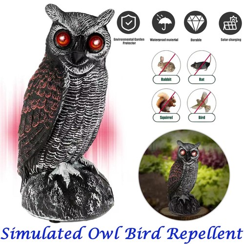 Realistic bird scarer sound - bird,