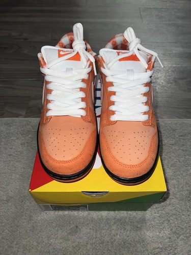 Nike dunk low concepts - nike,