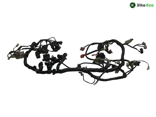 Electric harness honda 1000 - electric,
