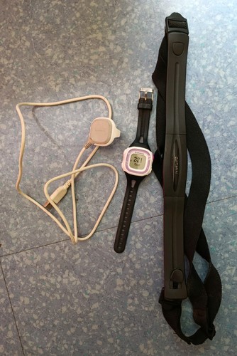 Garmin forerunner gps - 10,