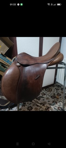 Bates havana caprilli 17in - bates,
