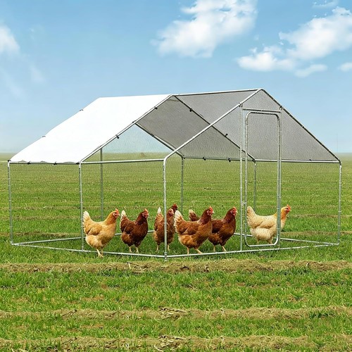 Metal chicken coop walk - chicken,