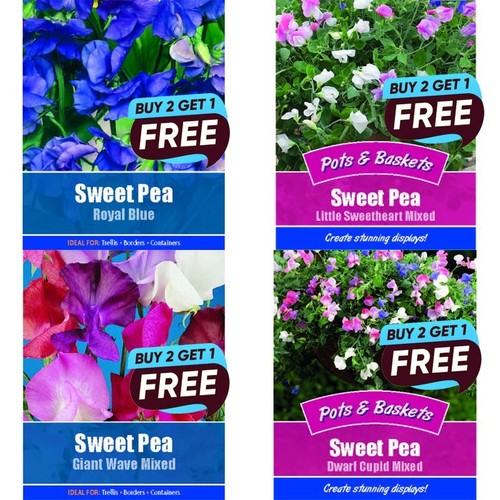 Flower seeds grow - grow, your