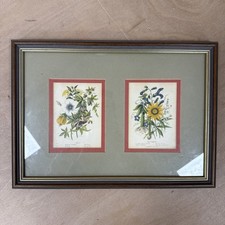 Botanical Framed Flower Print