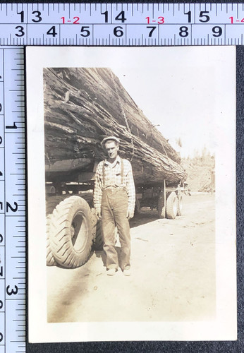 Occupational lumber logging - occupational,