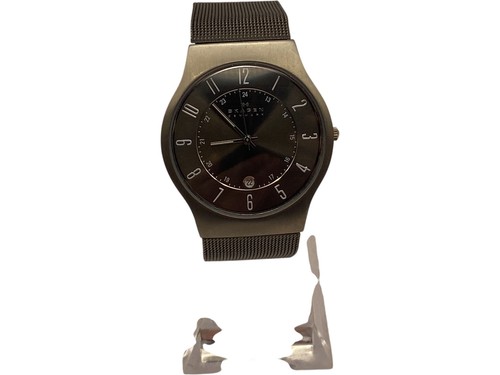 Skagen 233xlttm titanium - skagen, case