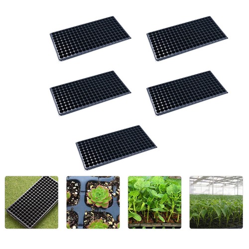5pcs plant starter - 5pcs,