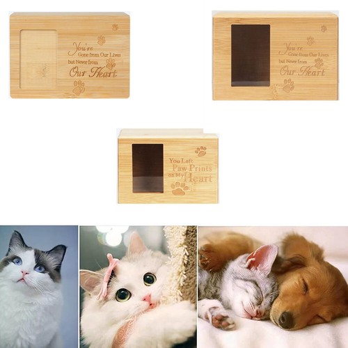 Pet urn for dogs cats - cats, ashes