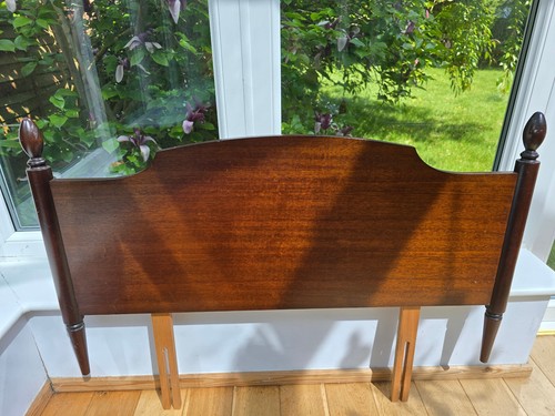 Stag minstrel mahogany - stag,