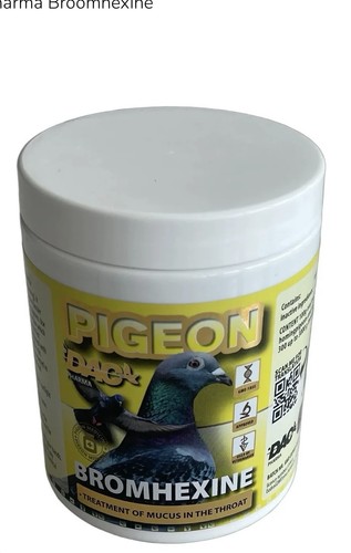 Racing pigeon - racing,