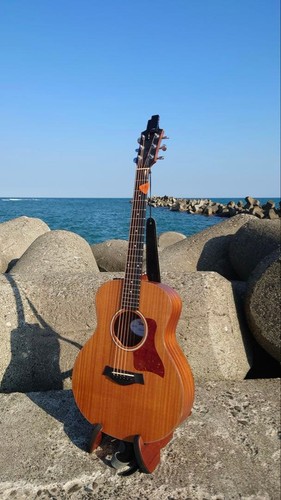 Rare taylor mini mahogany - gs,