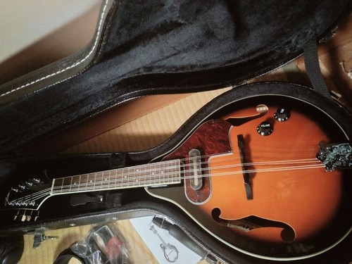 Aria 20e electric mandolin - am-20e,