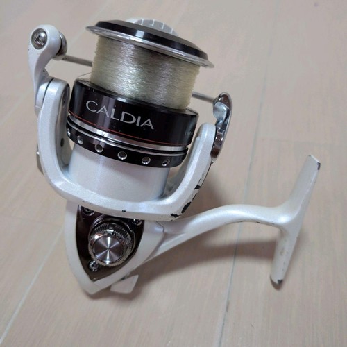 Daiwa caldia 3000 - 09,