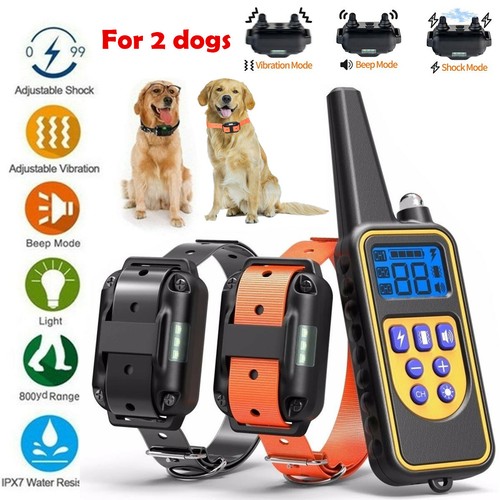 Collar set 2600 remote - 2,