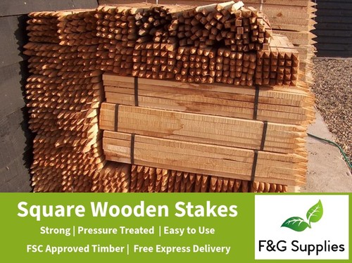 Square wooden tree - 25, x