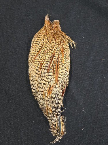 Cree barred ginger rooster - cree,