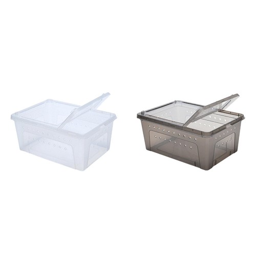 Reptile feeding box turtles - reptile,