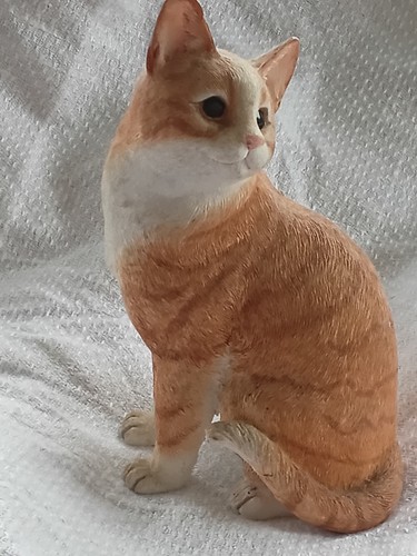 Leonardo collection cat - collection,
