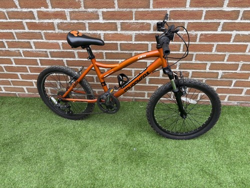 Muddyfox anarchy kids bike - anarchy, 20