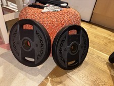 Technogym Gym Weights 2 x 10kg