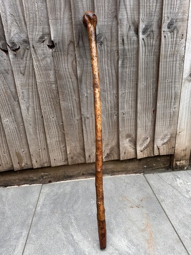 Antique rustic hedge wood - antique,