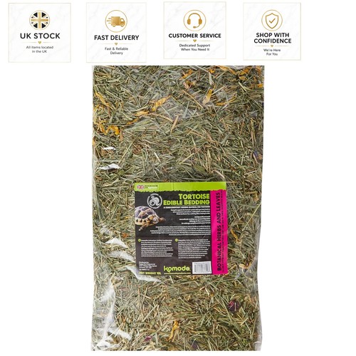 Happy pet tortoise edible - tortoise,