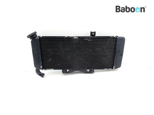 Radiator kawasaki kle 650 - kawasaki,