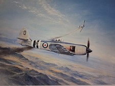 Sea Fury -M.I.G. Encounter