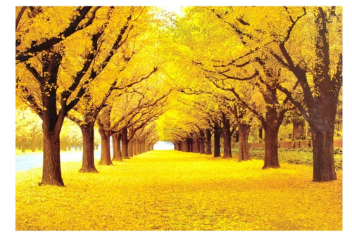 1000 piece gold autumn - 1000-piece,