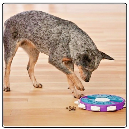 Outward hound nina ottosson - outward,