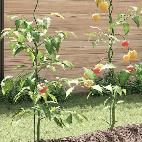 Walplus spiral plant - plant, supports