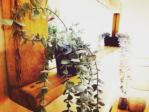 Rustic farmhouse wall mirror - rustic,