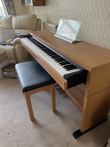 Panasonic np10 electric - panasonic, sx-np10