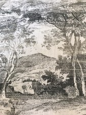 Jane Churchill Eden Fabric In Charcoal (No Returns)