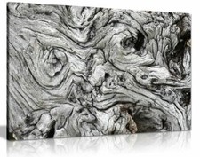 Black & White Driftwood Canvas